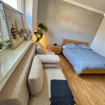 Large And Cozy In A Shared And Great Location *